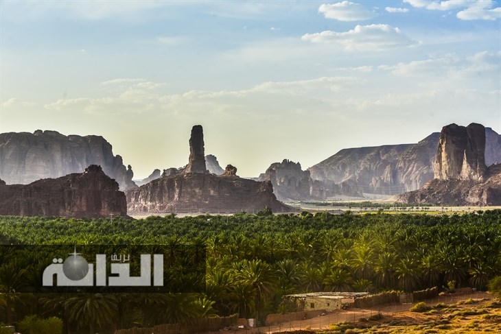 Oasis of AlUla