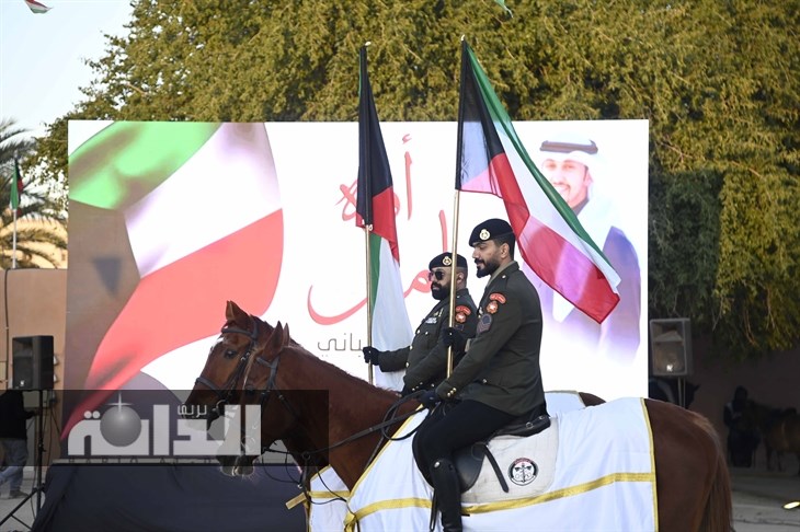 ‏ من العروض